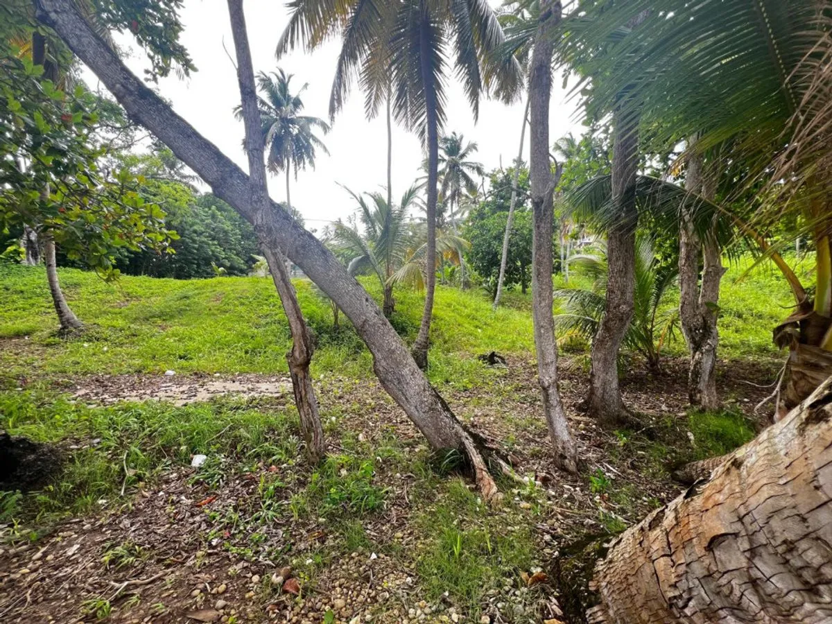 Terreno en Samaná, Sector Sánchez KM 0, foto 4