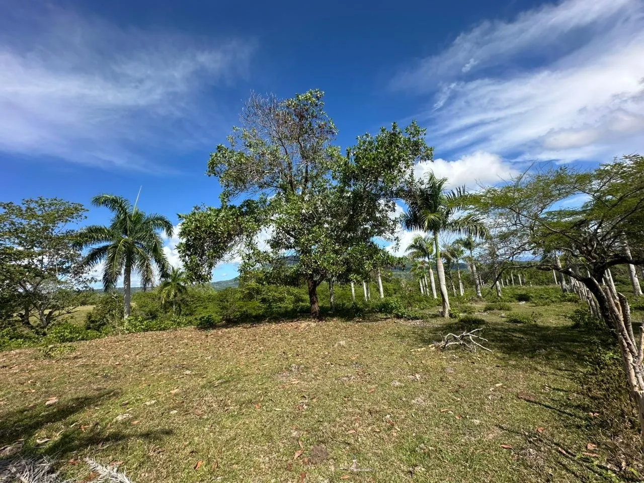 Terreno a El Cupey, Puerto Plata – Vista sul Mare e sulla Montagna, foto 11