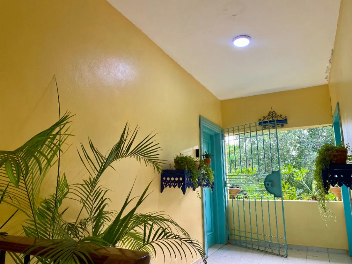 Apartment in Urbanización Buena Vista Norte, photo 13