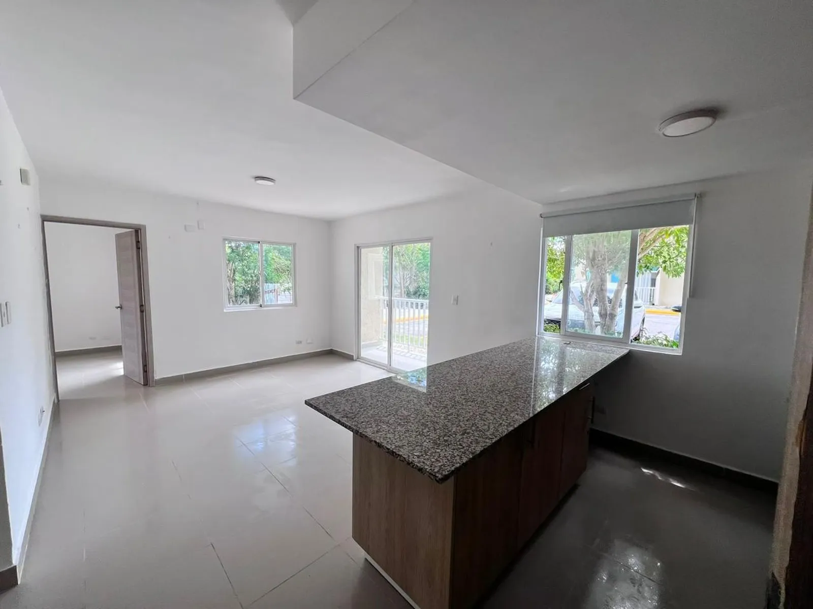 APARTAMENTO EN VENTA 1 DORMITORIO PUNTA CANA LA AL, foto 3
