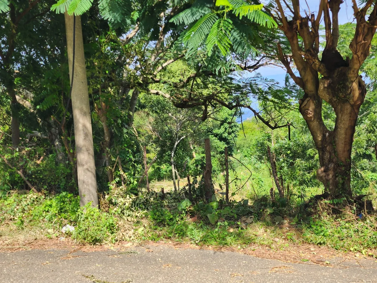 Corazón de Sosúa: Terreno en Venta en el Centro, foto 6