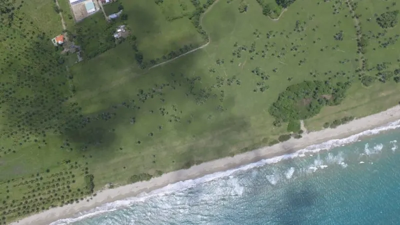 Unique Investment Opportunity: Beachfront Land in Gaspar Hernández, USD$ 65