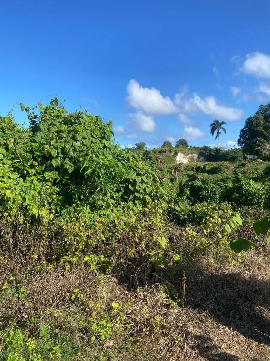 Land for Sale in Río San Juan, Santa Lucía, photo 10