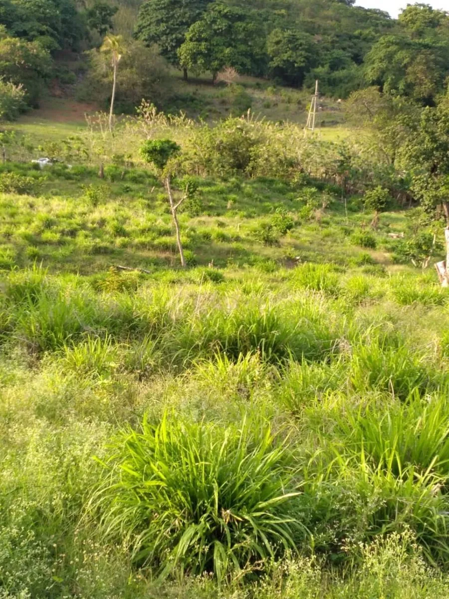 Grundstück in Samaná, Las Galeras, 6290 m², Foto 2