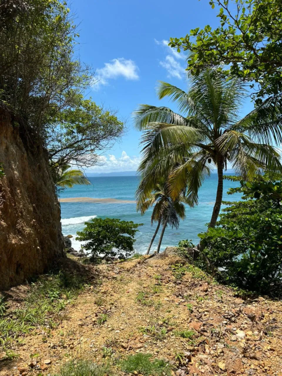 Projekt in PUNTA BALANDRA, Foto 12