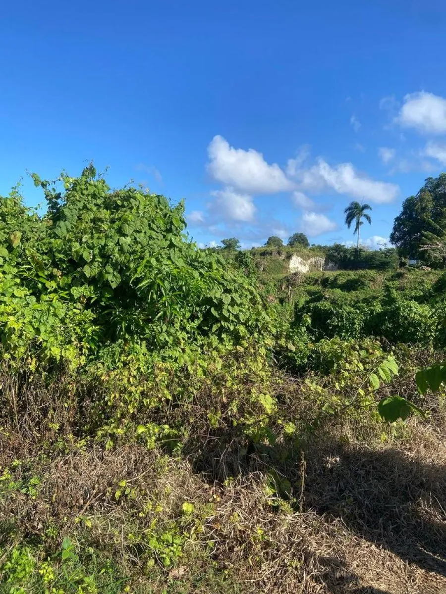 Land for Sale in Río San Juan, Santa Lucía, photo 9