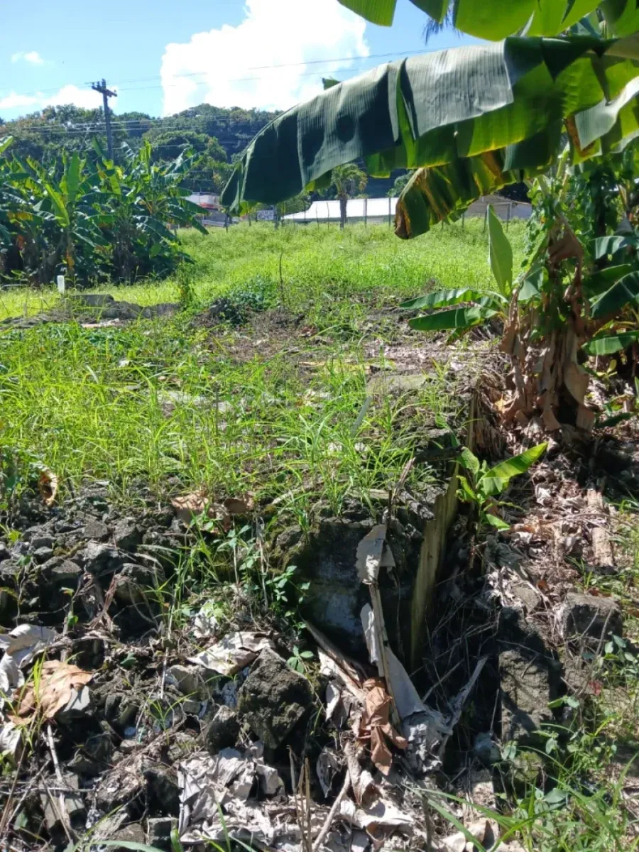 Land for sale in Cabrera, Abreu, photo 3