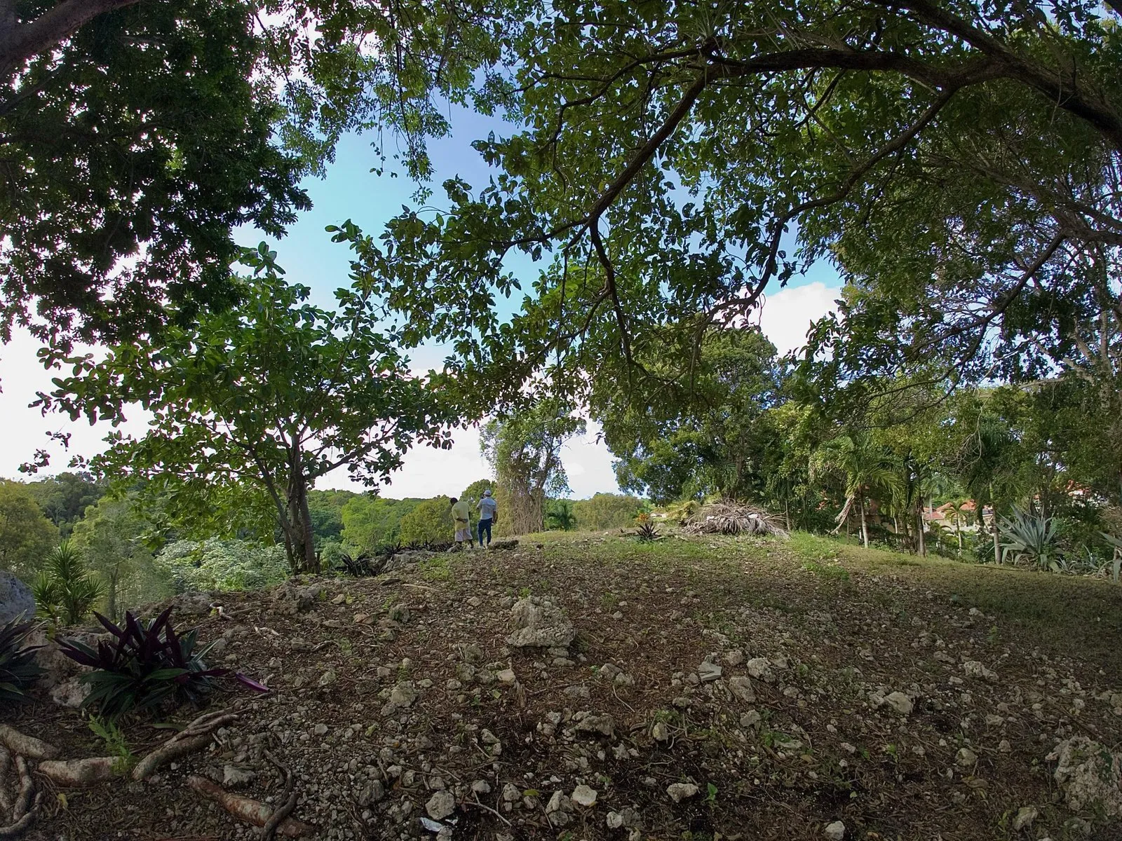 Ocean View Land in La Mulata, Sosúa, photo 3