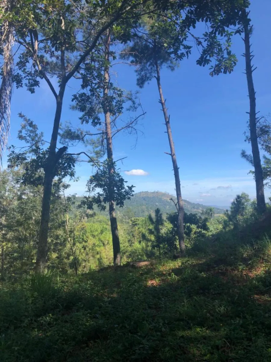 Venta de Solar en Quintas del Bosque Jarabacoa, foto principal