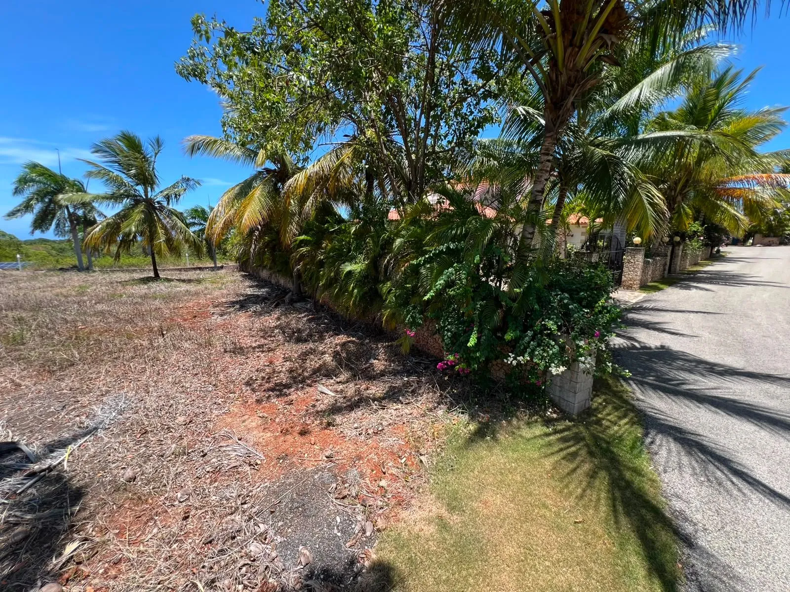 Land for sale Lomas Mironas, photo 5