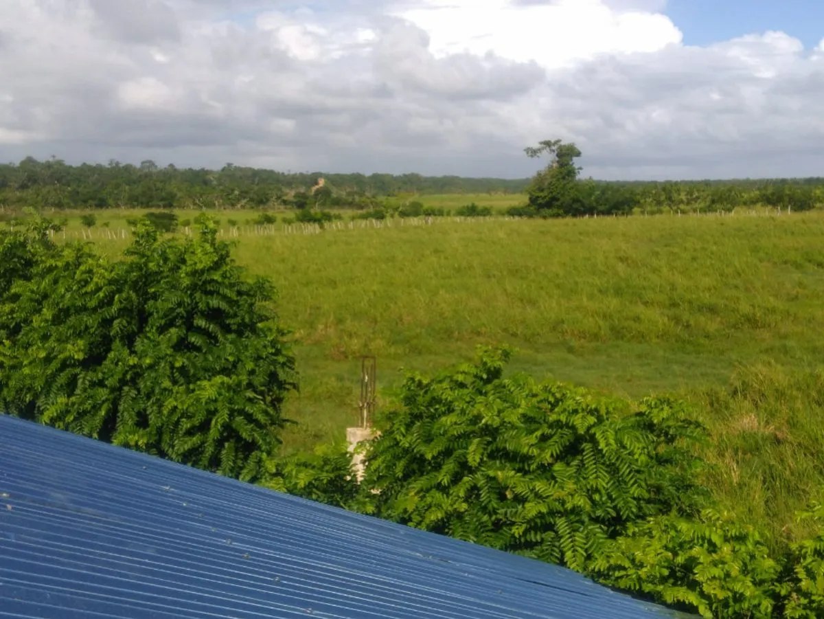 TERRENO EN VENTA 54238 M² UVERO ALTO HIGÜEY LA ALT, foto 2