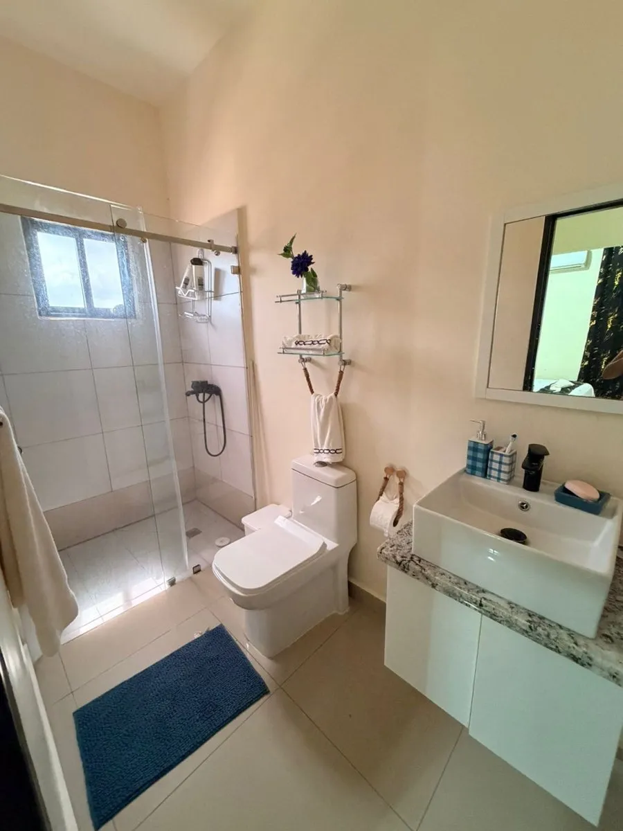 Furnished Villa for Sale in Brisas de Punta Cana, photo 4