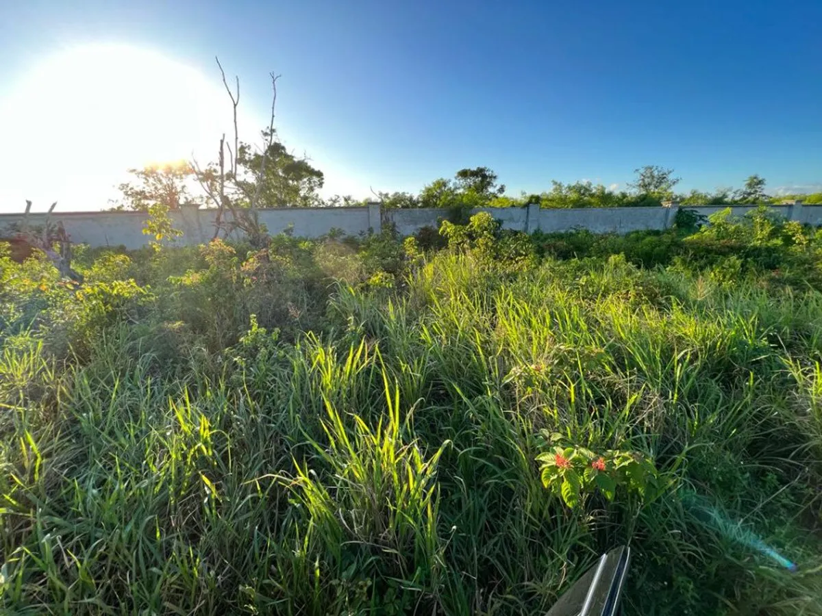 GRUNDSTÜCK IN RESIDENCIAL BÁVARO PUNTA CANA, Foto 2