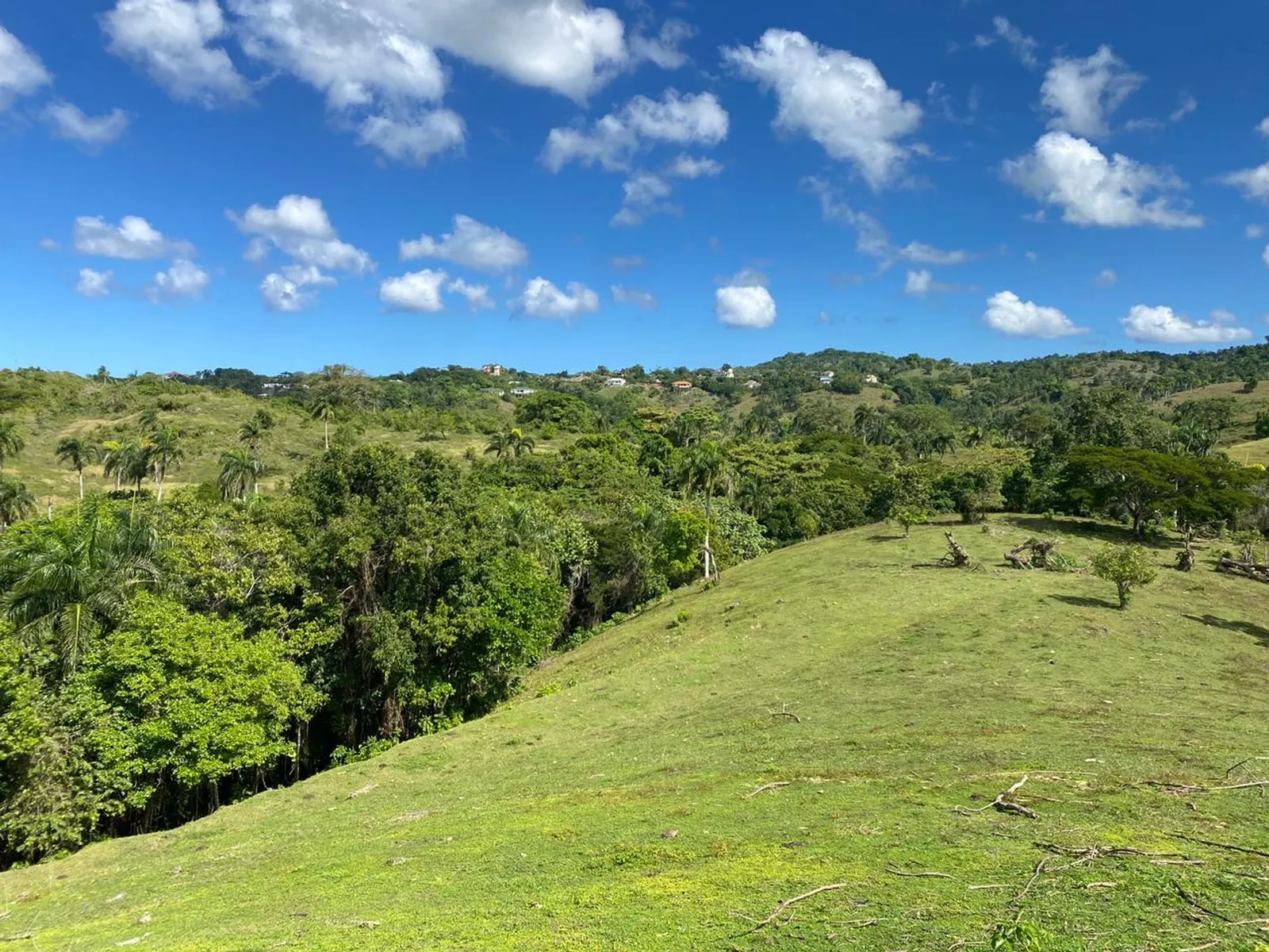 Terrain de 6 287 m² à Urb. Aurora | Rio San Juan, photo 10