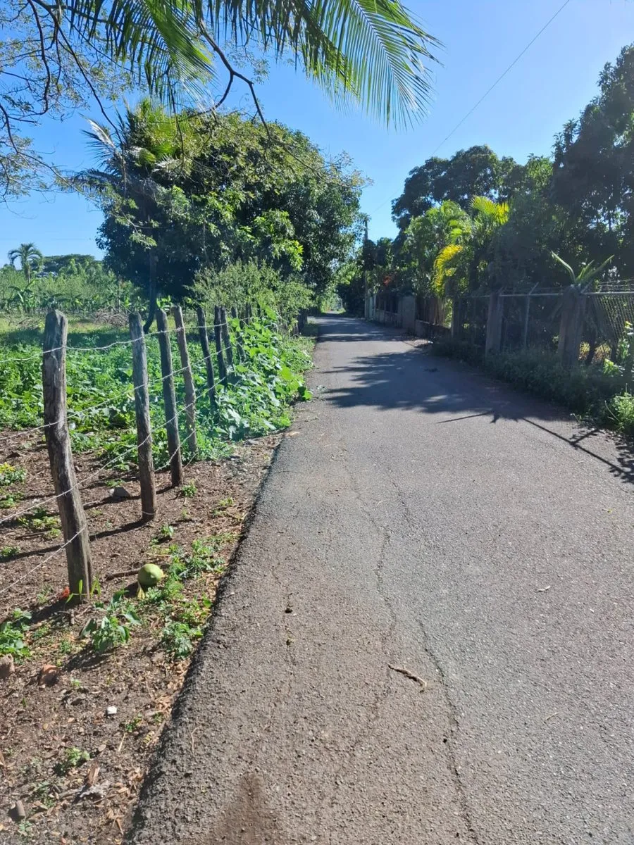 Grundstück zum Verkauf in Jacagua, Santiago, Foto 4
