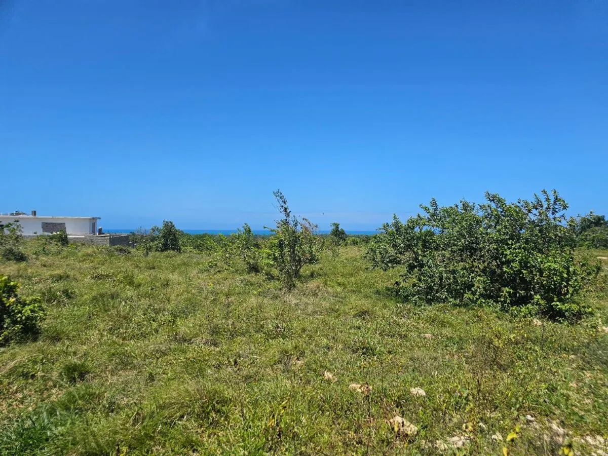 Terrain à CABARETE SOSÚA, photo 4