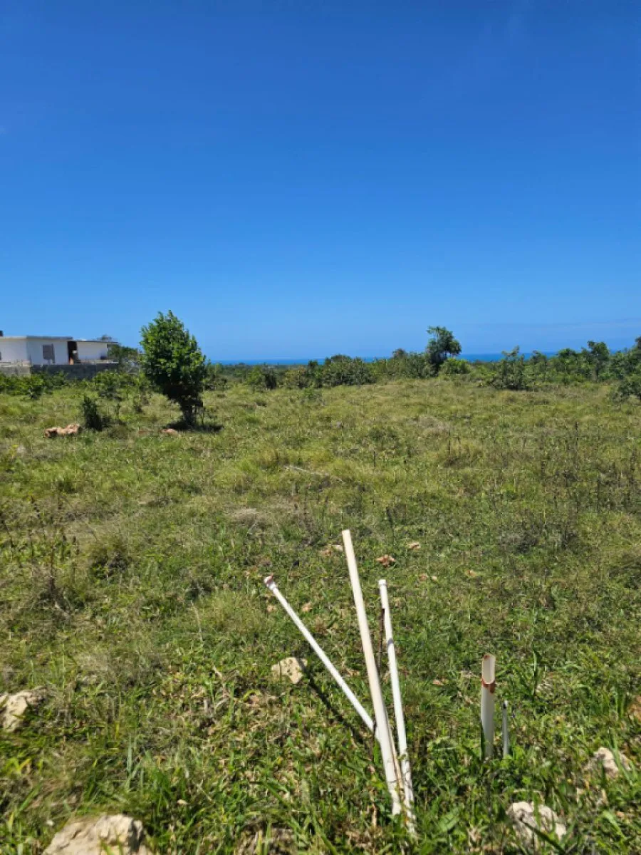 Terrain à CABARETE SOSÚA, photo 3