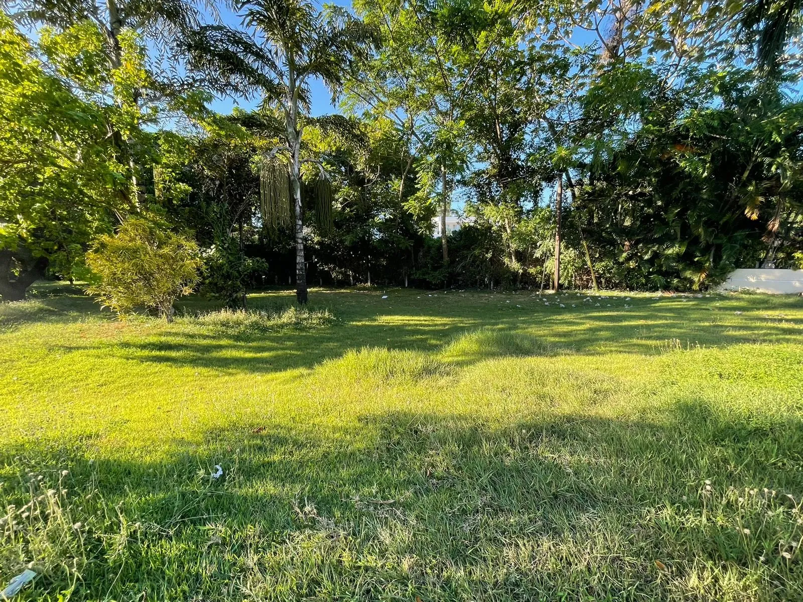 Impressionnant terrain de 2 531 mètres entre Sosúa et Cabarete, photo 4