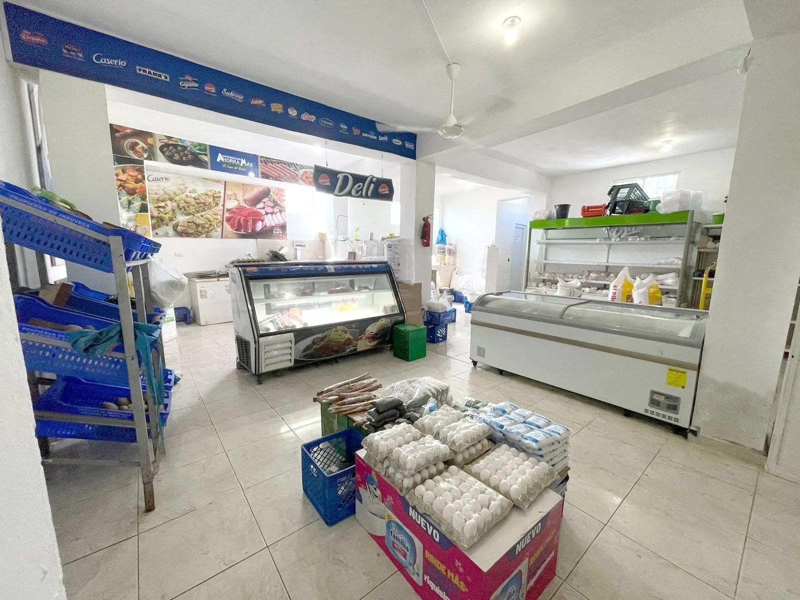 Commercial Space for Sale in Sabaneta de Yásica, photo 2