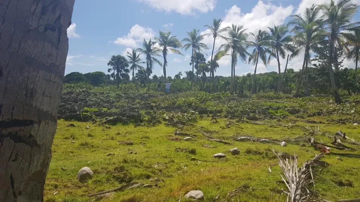 Oceanfront Land in Cabrera, El Tetén, photo 3