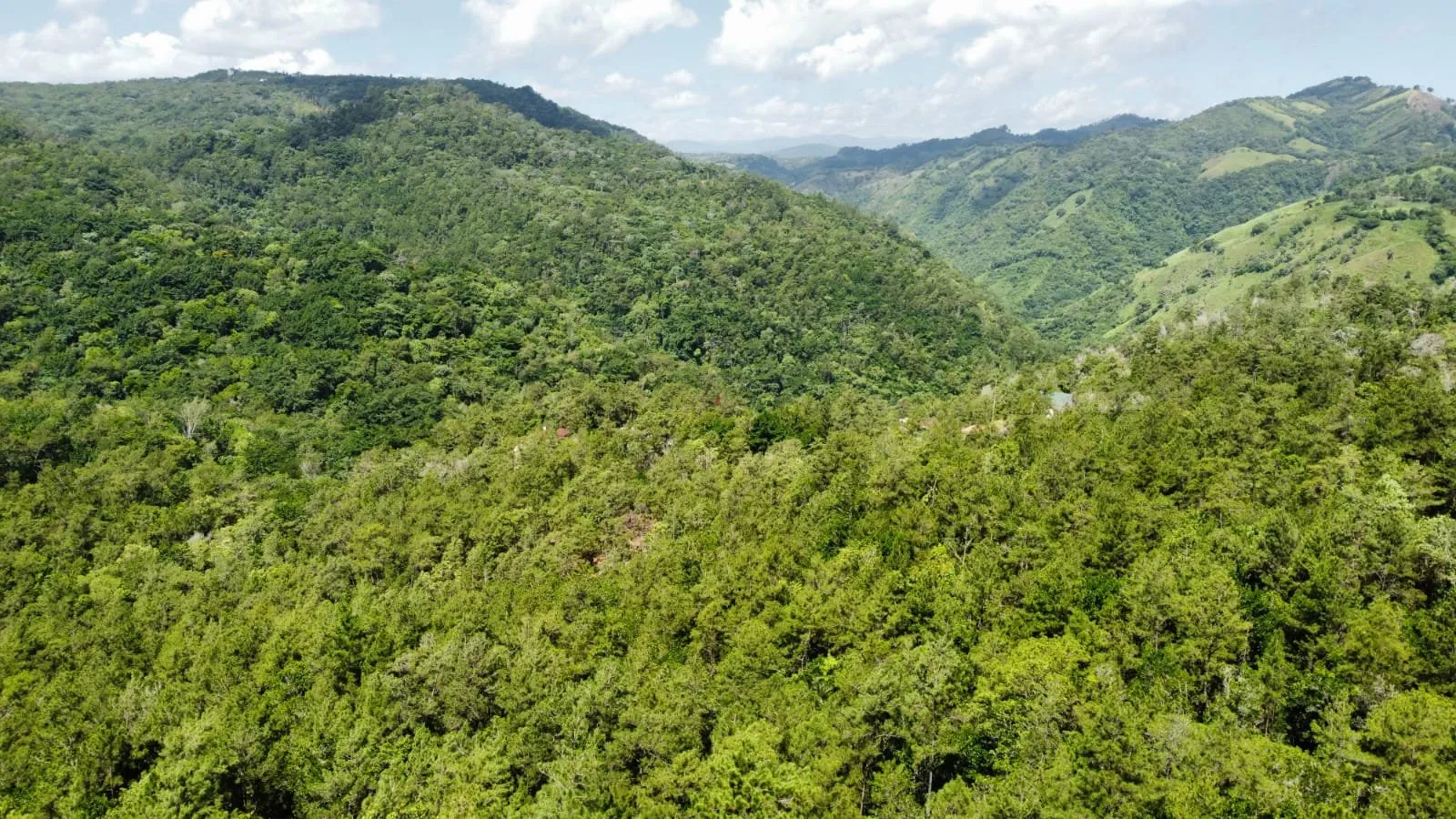 Opportunité Exceptionnelle d'Investissement dans un Terrain à Jarabacoa, photo principale