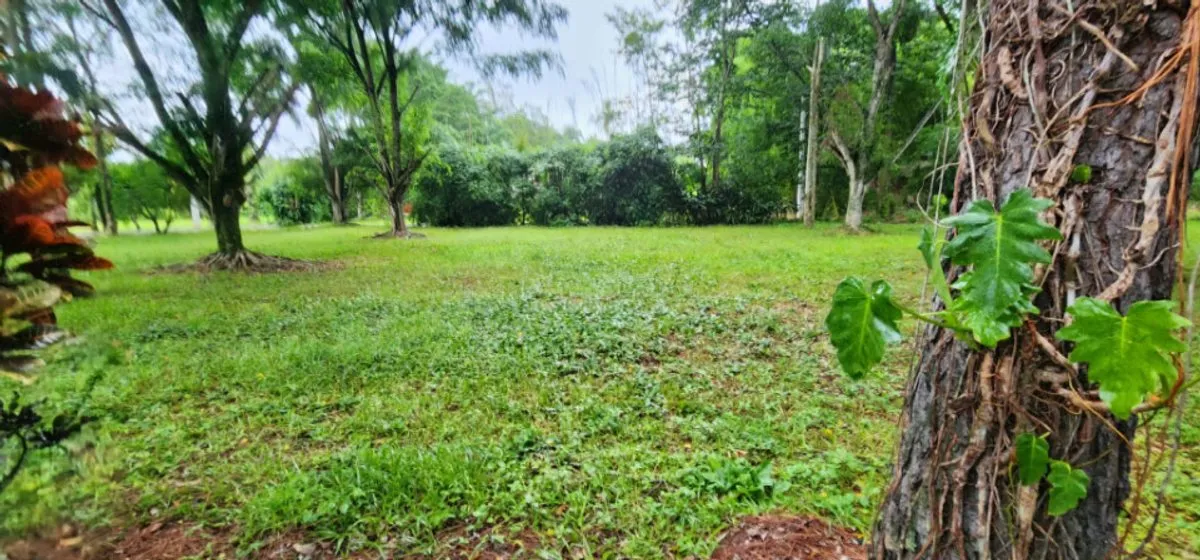 Land in Jarabacoa, Buena Vista, 562 m², main photo