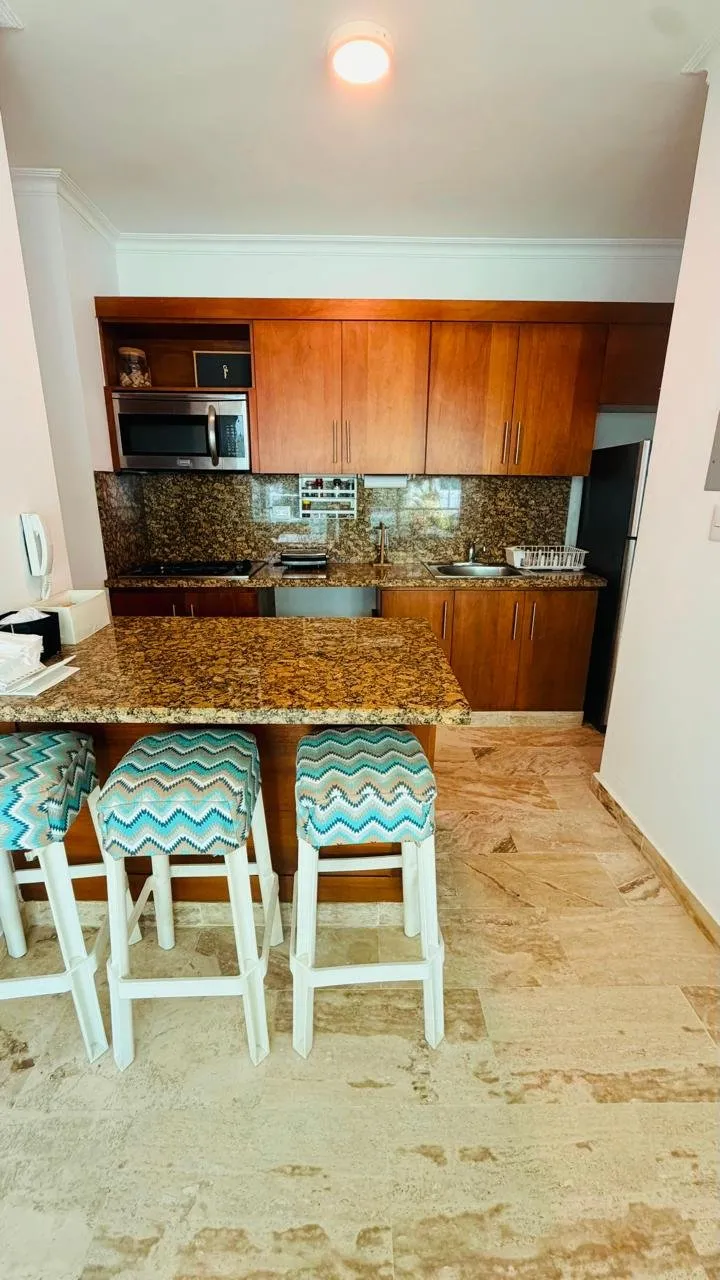 Apartment in Playa Laguna Sosúa with Ocean View, photo 8