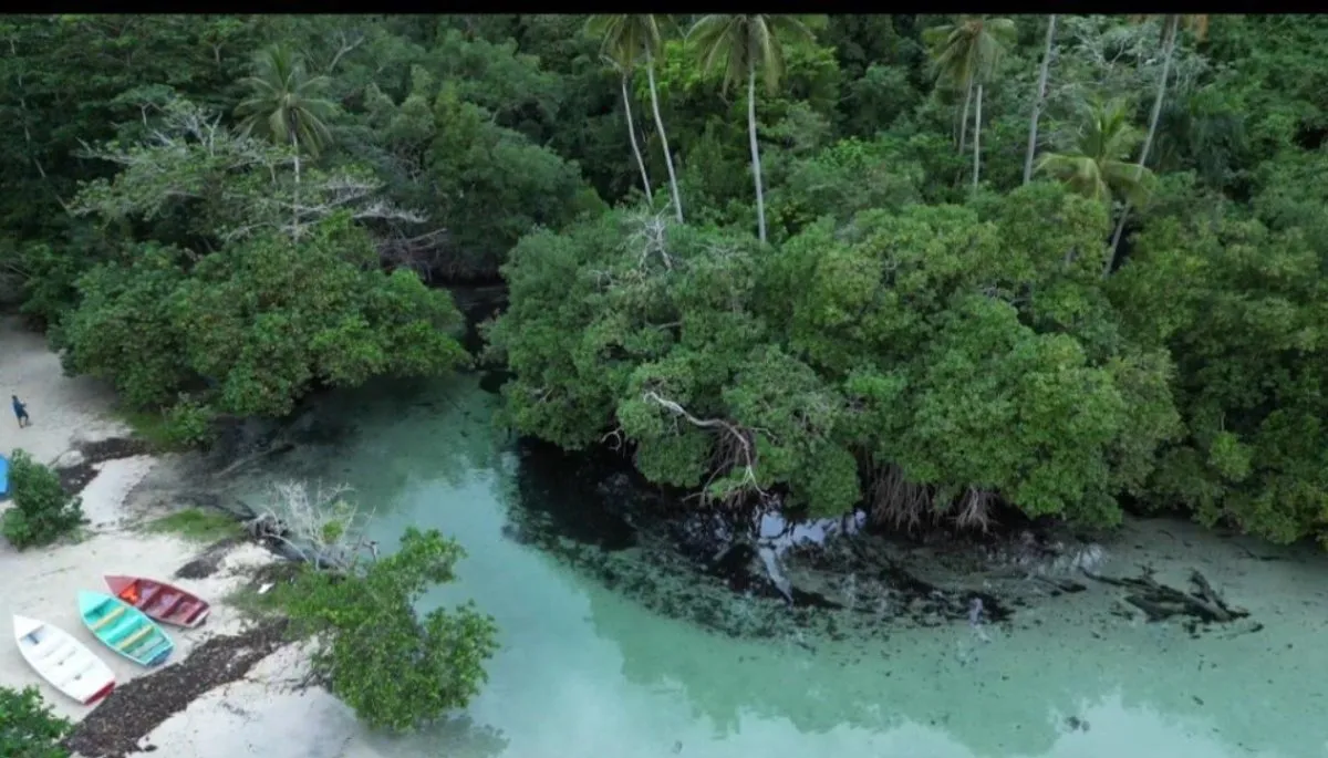 Land in Rincón, Samaná, photo 5