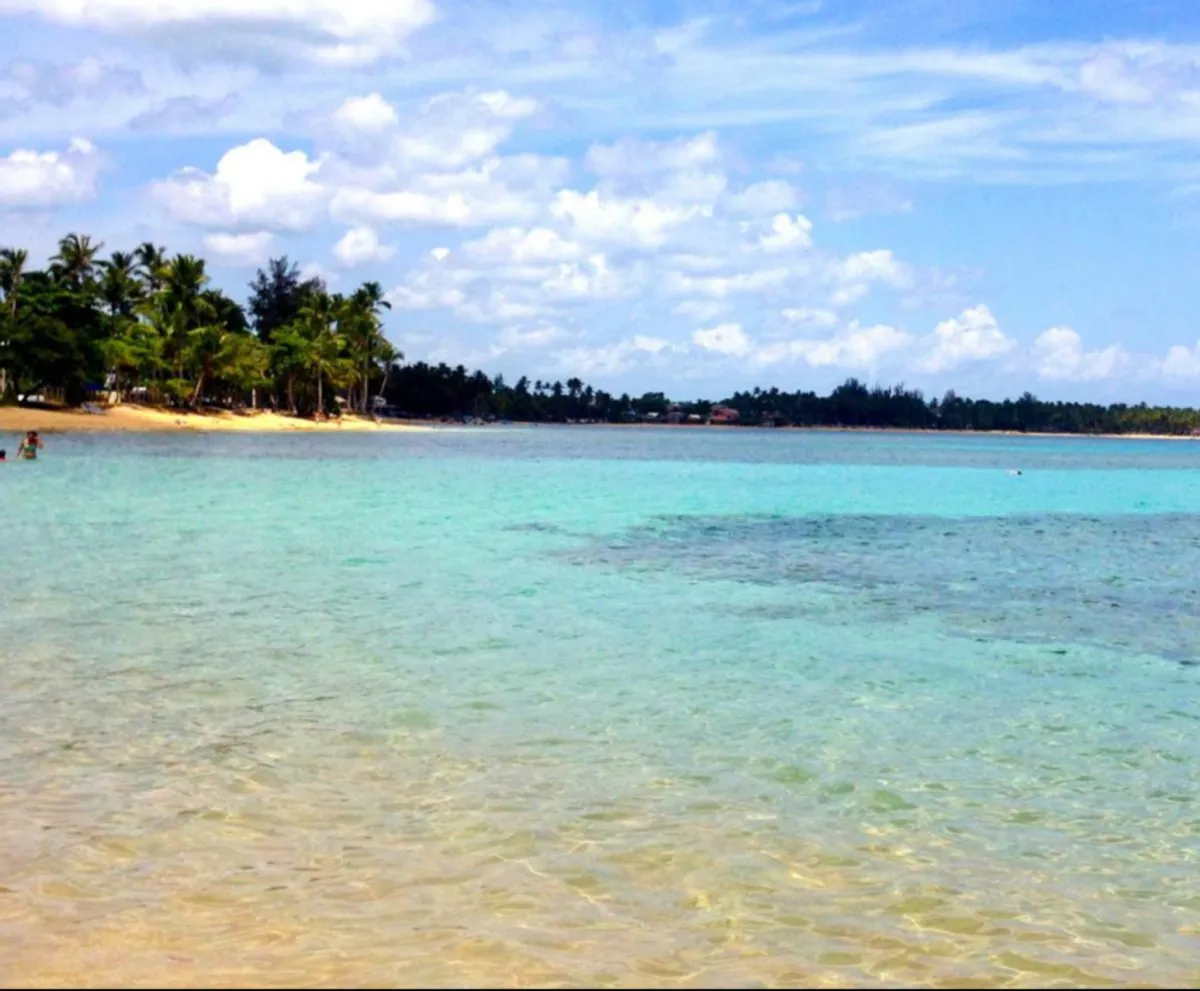 Apartment in Las Terrenas, El Portillo, photo 5