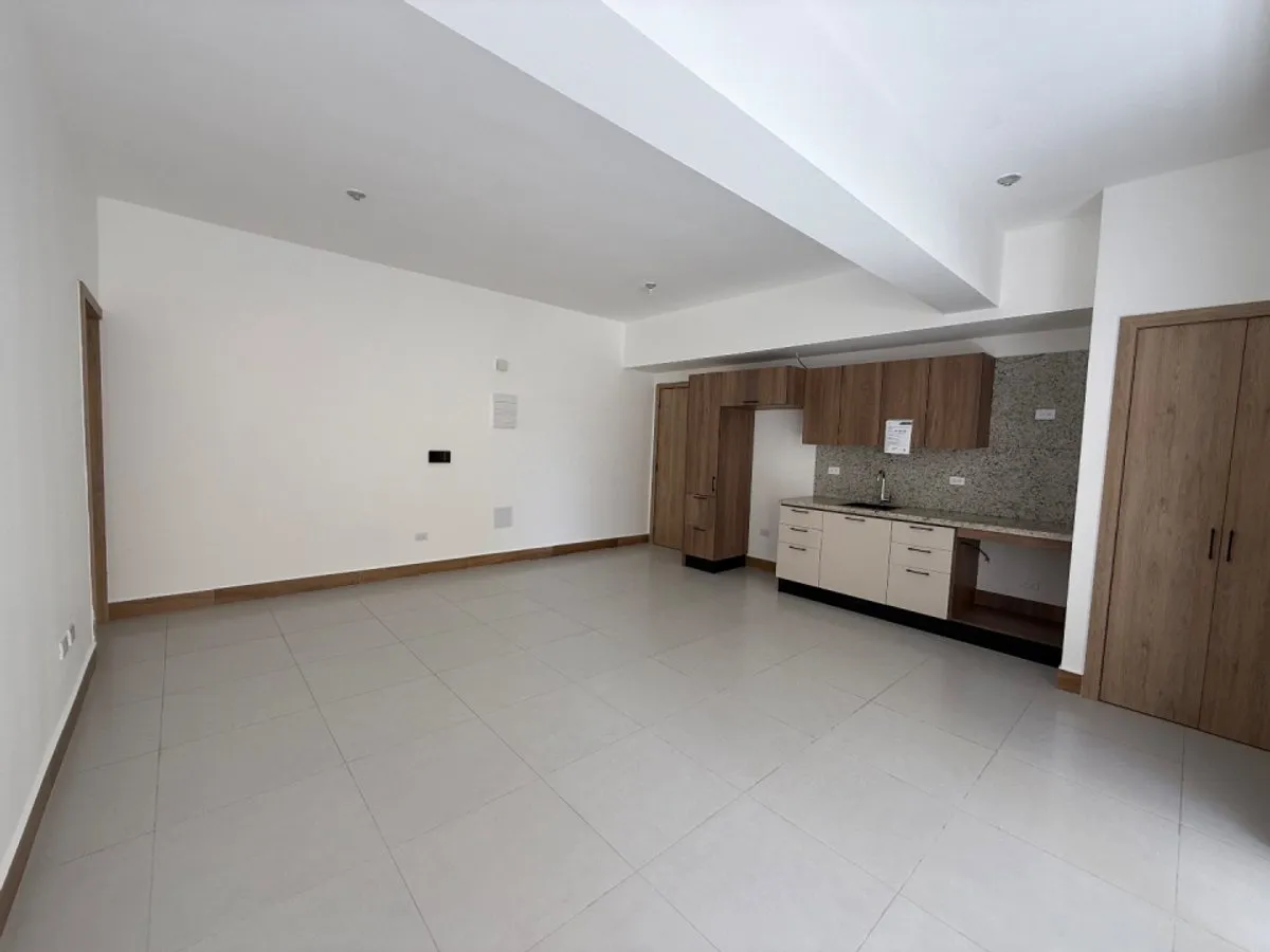 1-Bedroom Apartment in Naco for Sale, photo 2