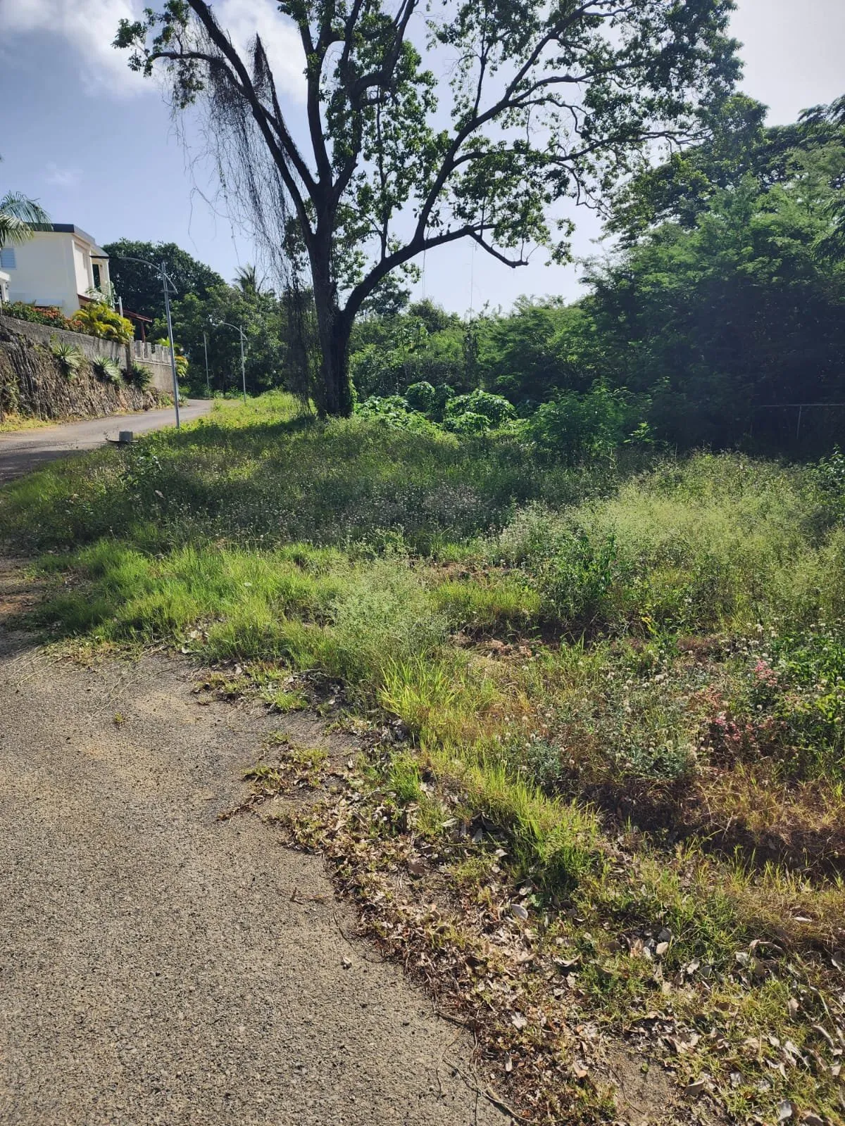 Lot for sale in La Mulata, main photo