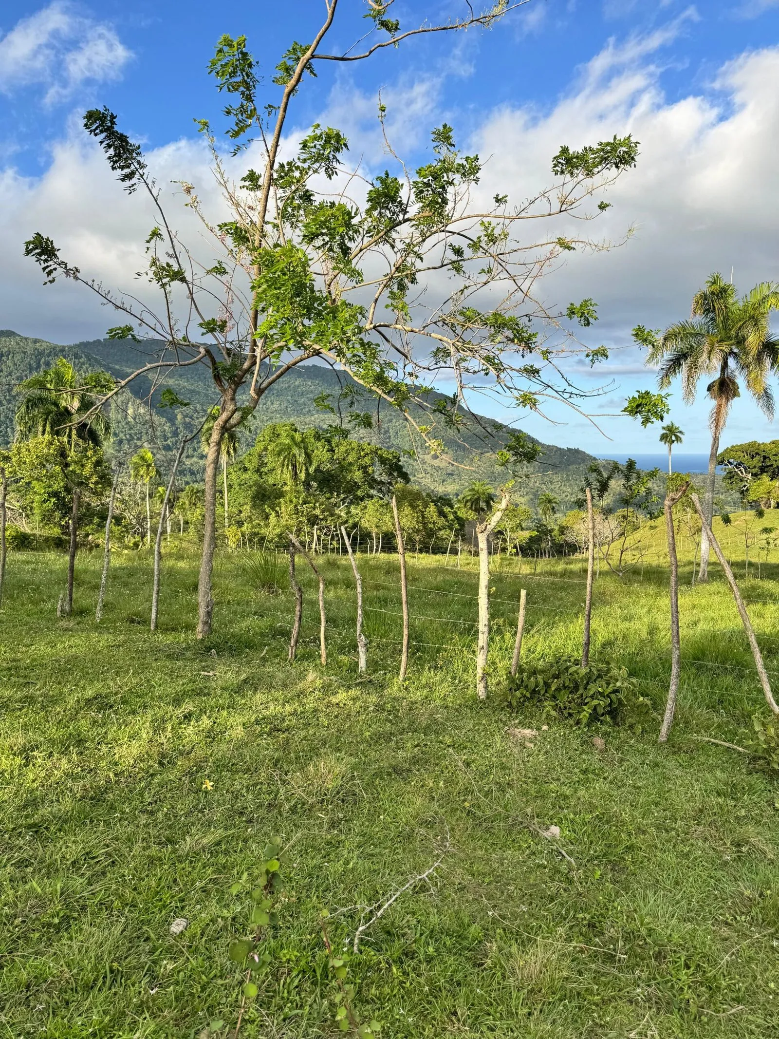 Grundstück in El Cupey, Puerto Plata – Panoramablick auf das Meer und die Berge, Foto 4
