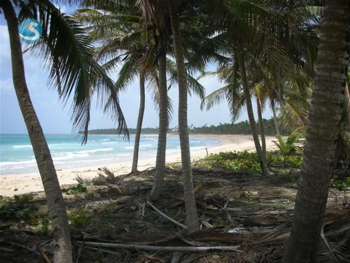 TERRENO EN VENTA 6,288 M² MACAO PUNTA CANA LA ALTA, foto principal