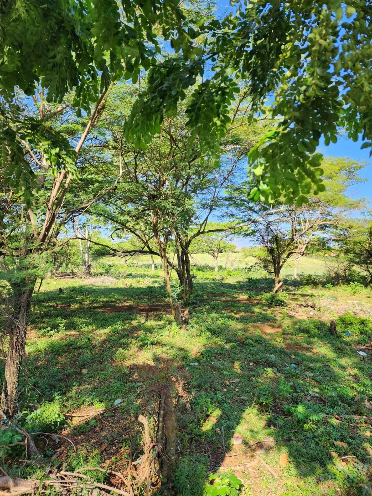 Terrain à El Choco – Sosúa, photo 3