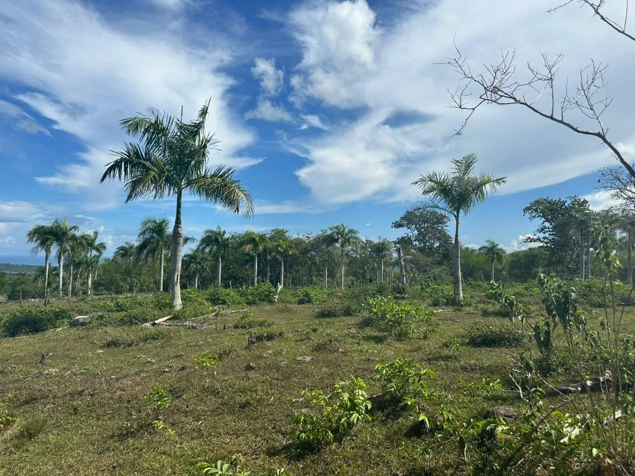 Terreno a El Cupey, Puerto Plata – Vista sul Mare e sulla Montagna, foto 9