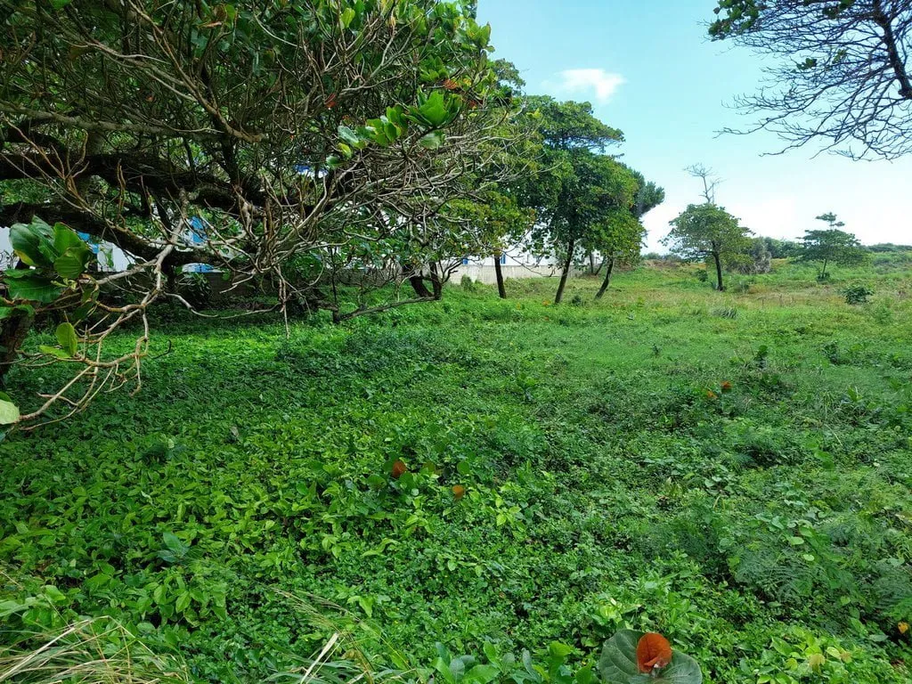 TERRAZZA IN ZONA ESCLUSIVA FRONTE MARE – CABARETE, foto 9