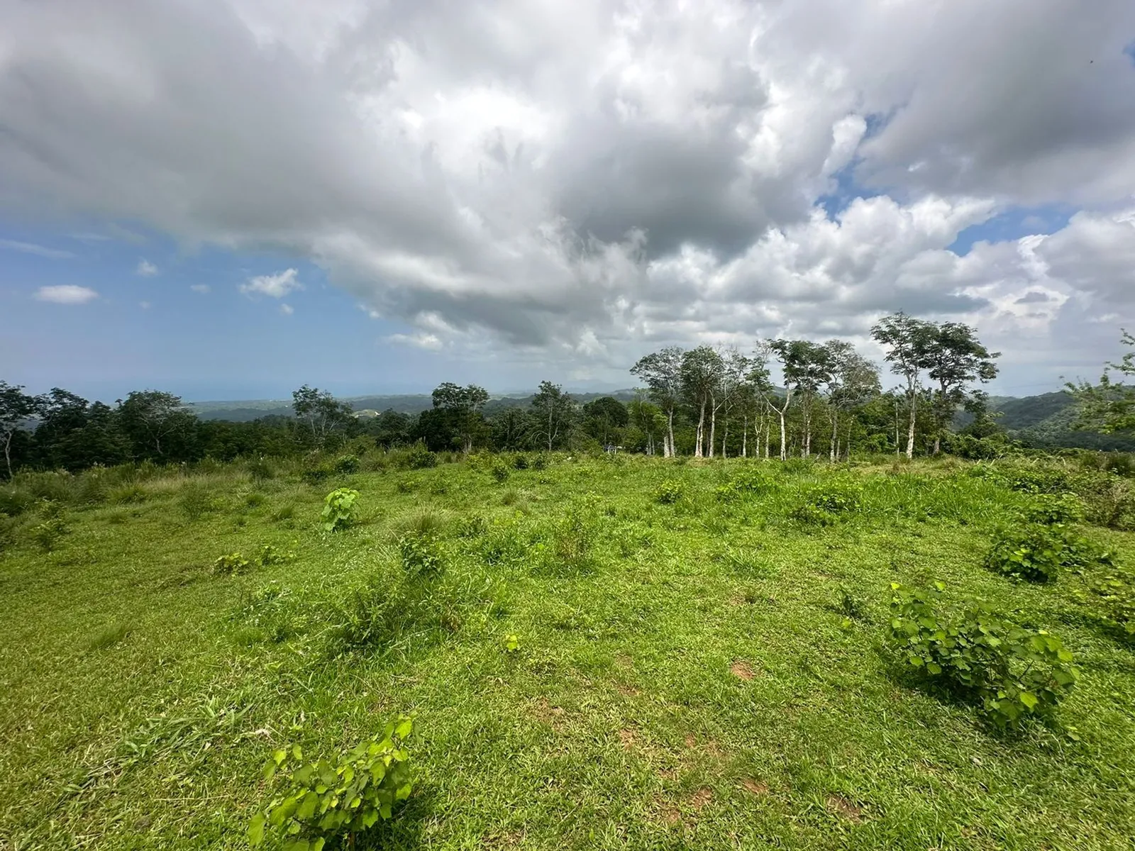 Terrain à Los Puentes, Las Terrenas Samana, photo 6