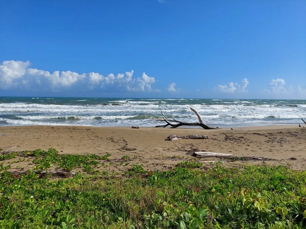 TERRAZZA IN ZONA ESCLUSIVA FRONTE MARE – CABARETE, foto 4