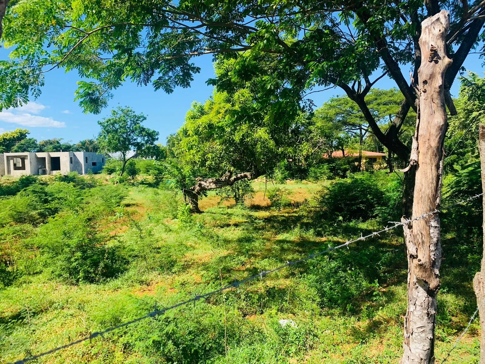 Terreno en El Choco, Sosúa – ¡La oportunidad perfecta para invertir o construir la casa de tus sueños, foto 5