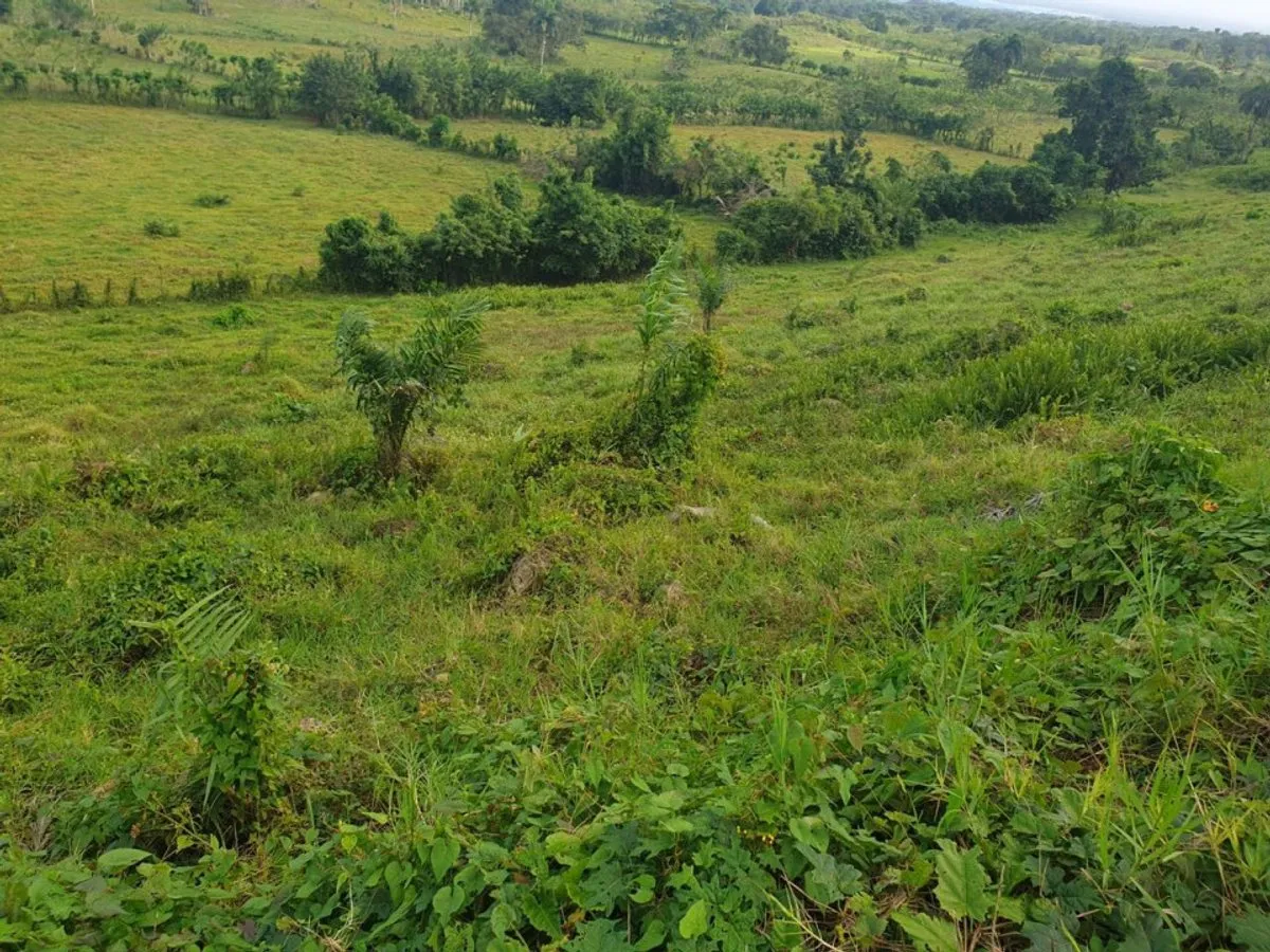 Terreno en Loma de Cabrera, Los Candelones, foto 3