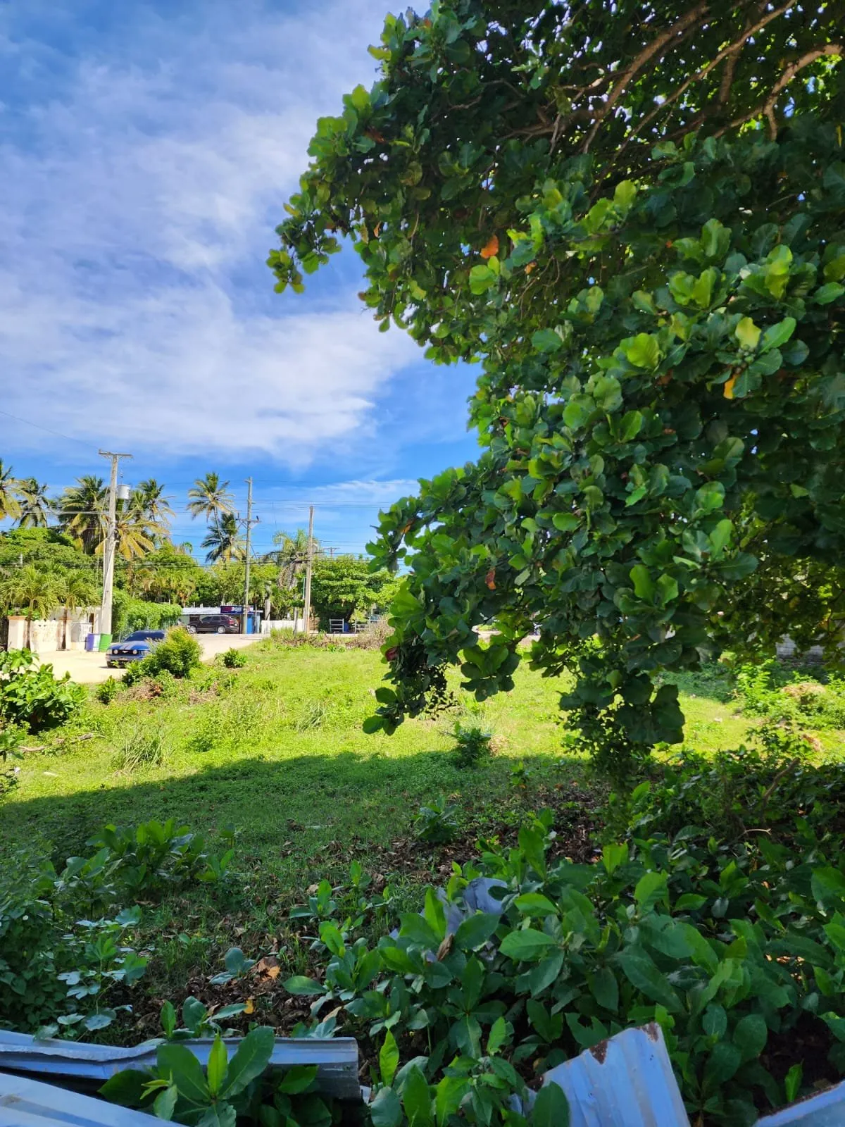 VENTA DE TERRENO CABARETE, foto 5