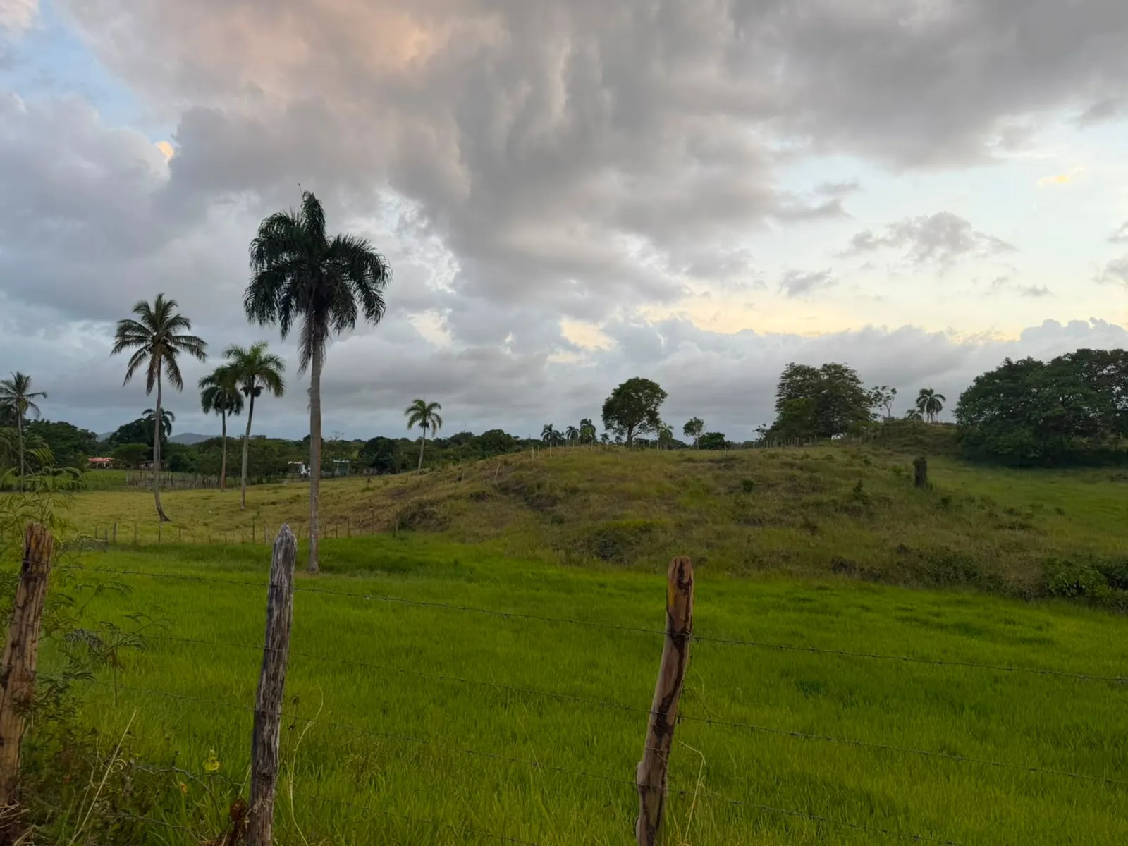 GRUNDSTÜCK ZUM VERKAUF IN SAMANA-PALMARITO, Foto 3