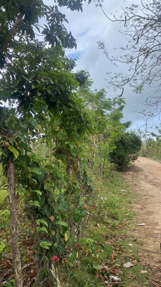 Terreno a Cabrera, Catalina Abajo, 650 m², foto 2