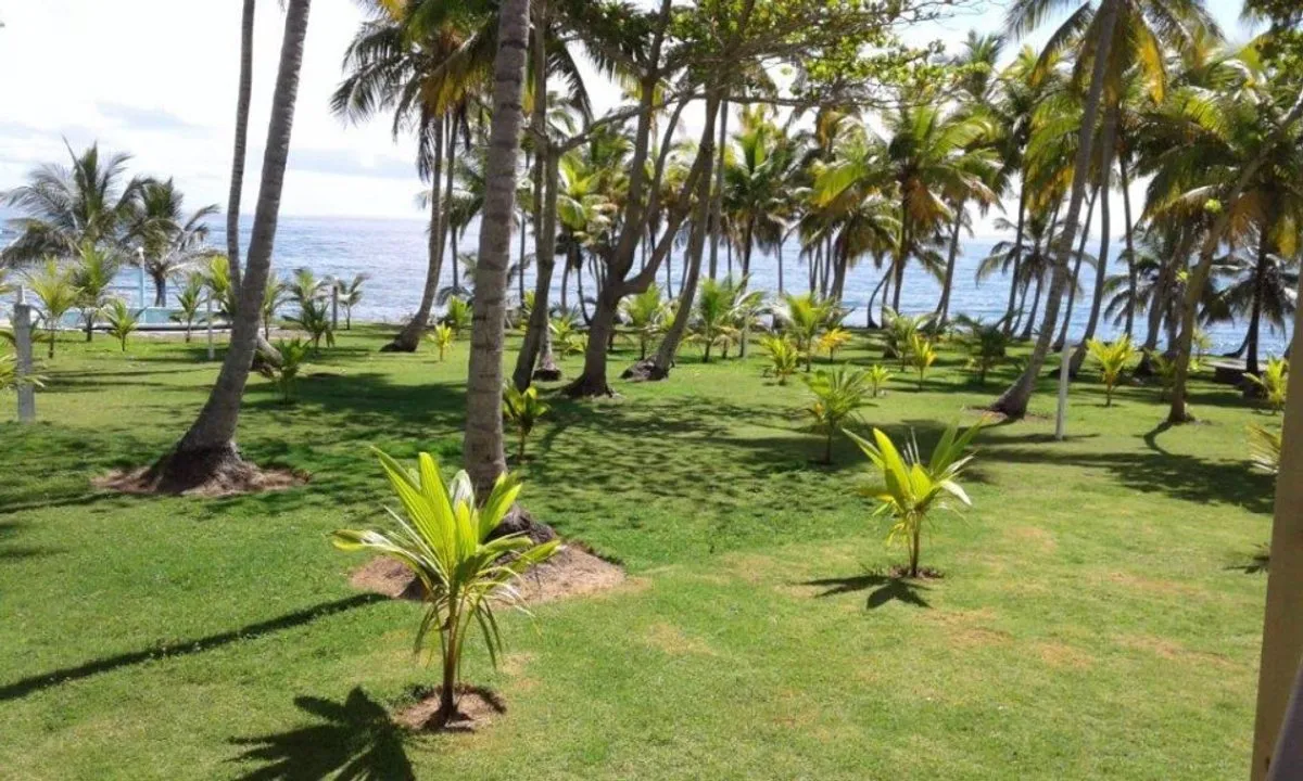 Luxury House in Samaná, Los Cacaos, photo 6
