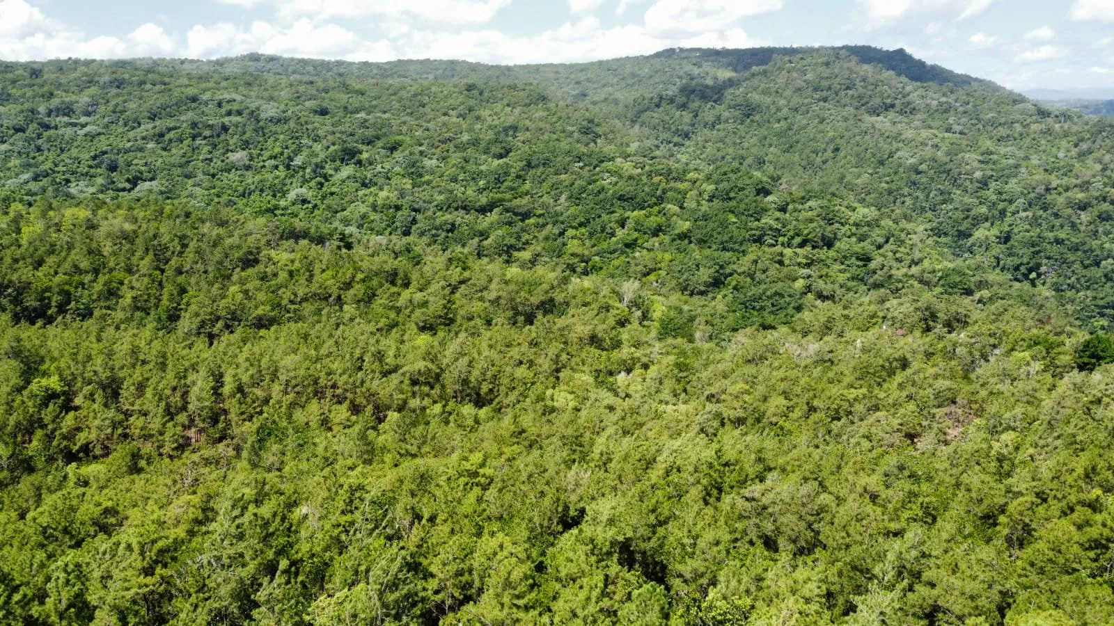 Opportunité Exceptionnelle d'Investissement dans un Terrain à Jarabacoa, photo 2
