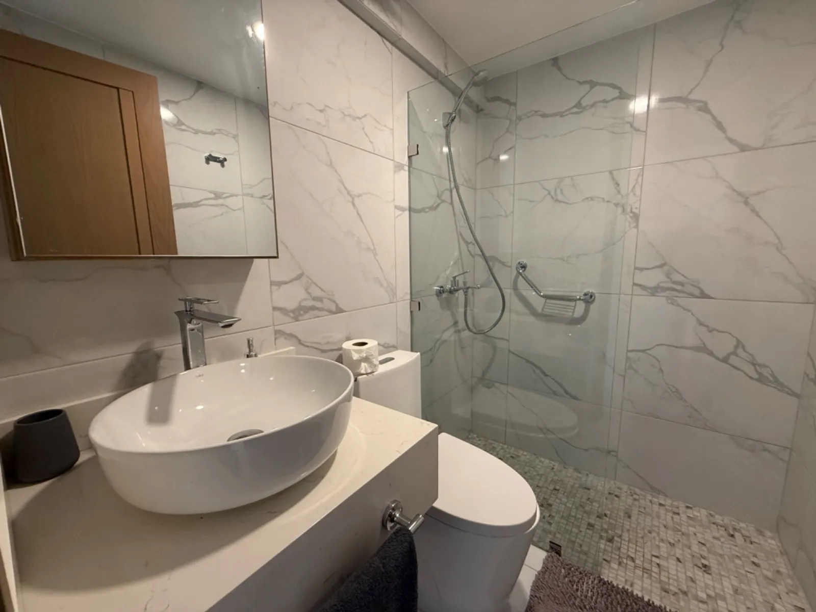 PENTHOUSE DE 1 CHAMBRE TOTALEMENT NOUVEAU, photo 6