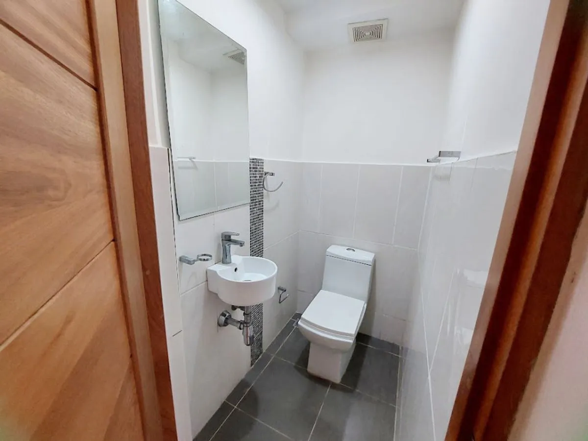 Apartment Project in Piantini?, photo 7
