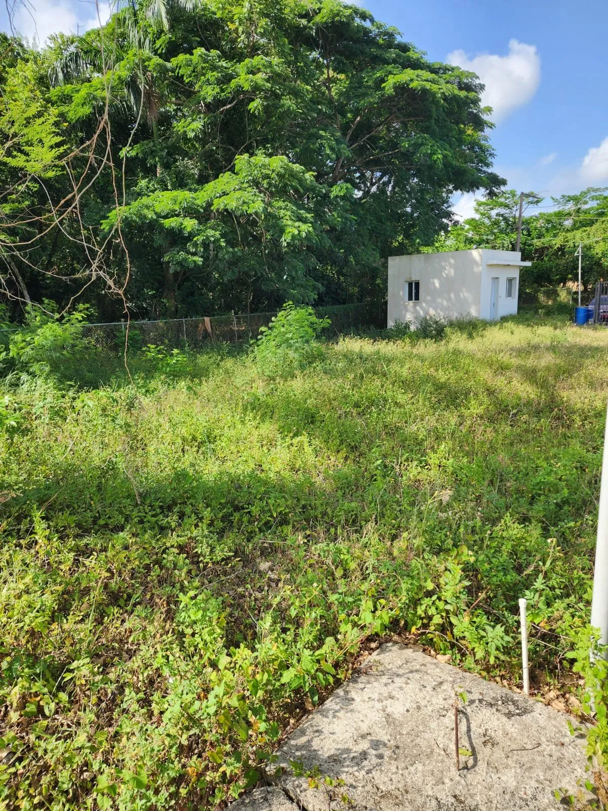 Lot for sale in La Mulata, photo 4
