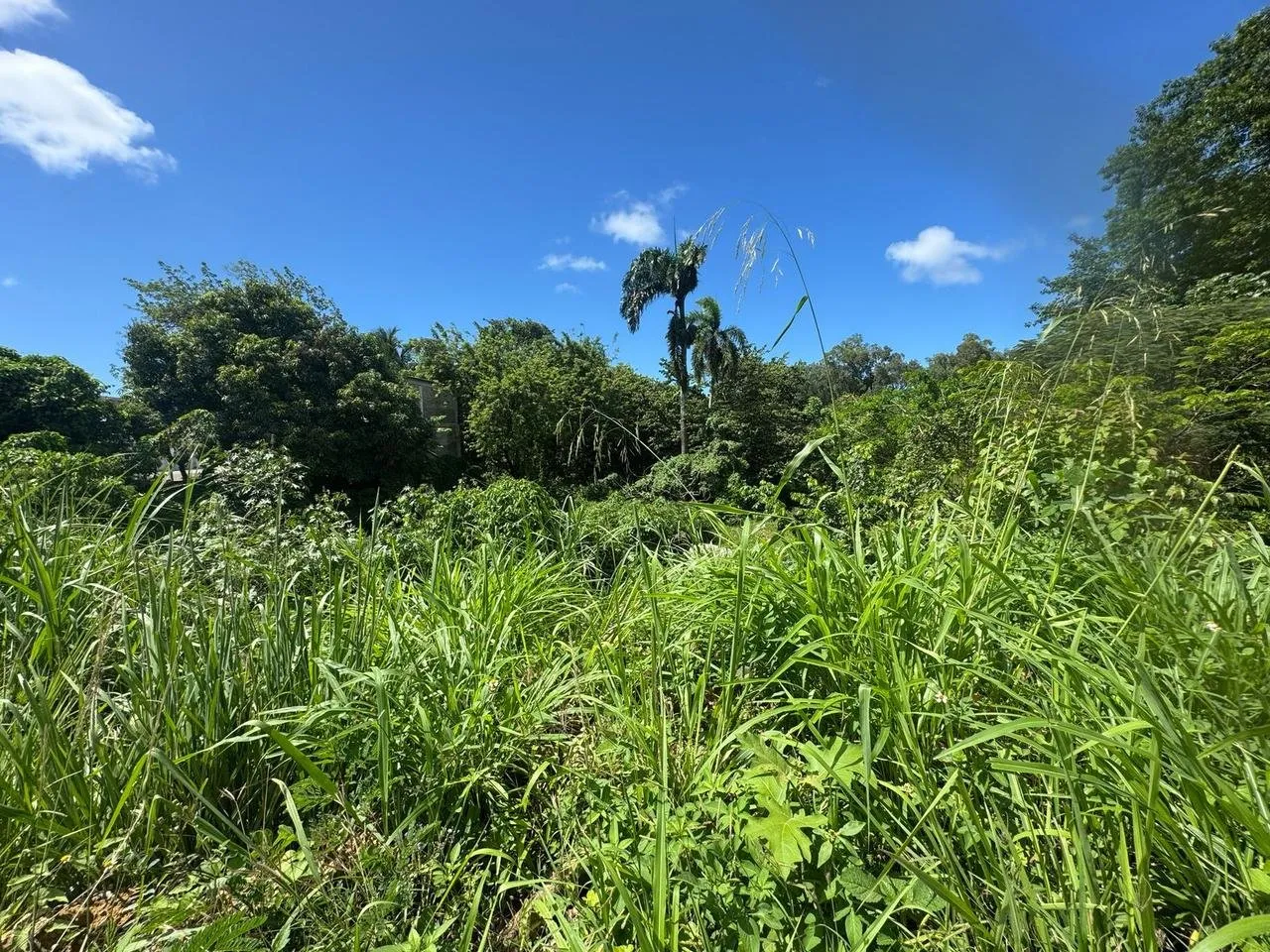 Land for Sale on the Main Road – Prime Location in Sosúa, photo 8