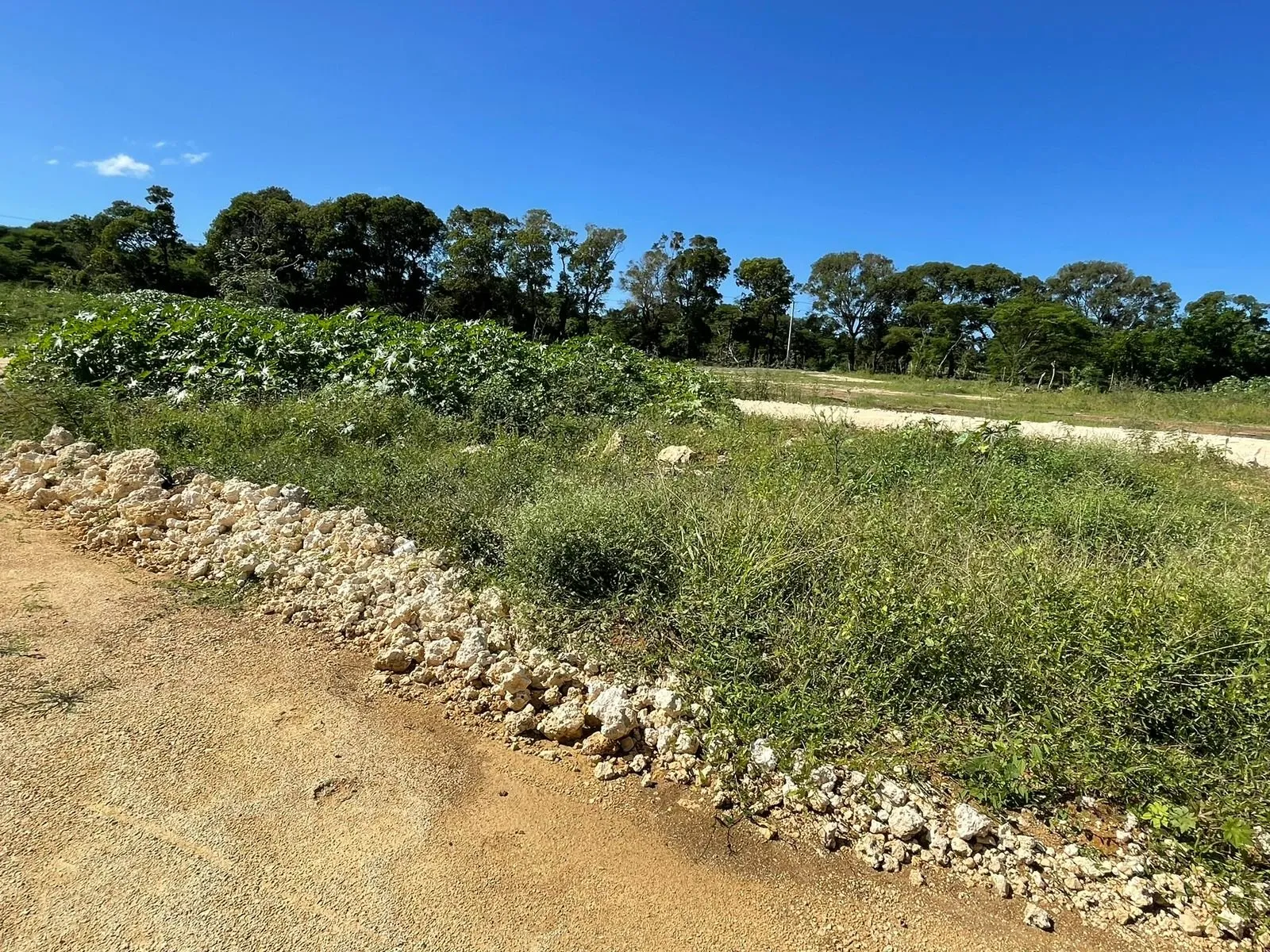 IDEAL LAND IN SOSUA, photo 4
